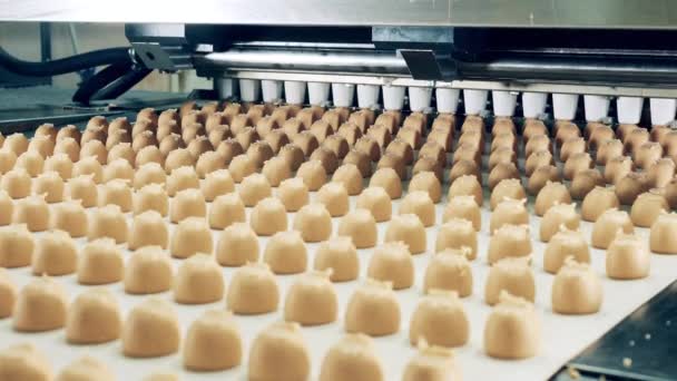 Manufacturing of fudge sweets carried out by a factory machine — Video