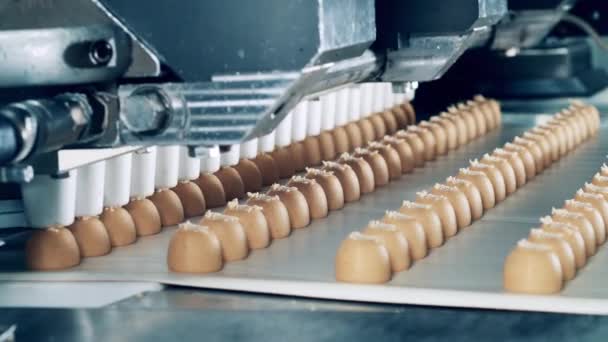 Factory machine is manufacturing batches of fudge candies — Vídeos de Stock