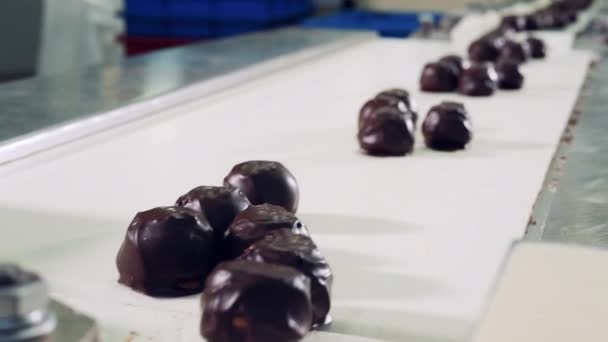 Conveyor belt with batches of candies in chocolate frosting — Stock Video