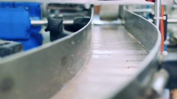 Batches of multilayered waffles are moving along the conveyor — Vídeo de stock