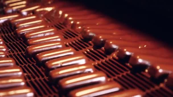 Manufacturing of sweets covered in chocolate frosting — Stockvideo