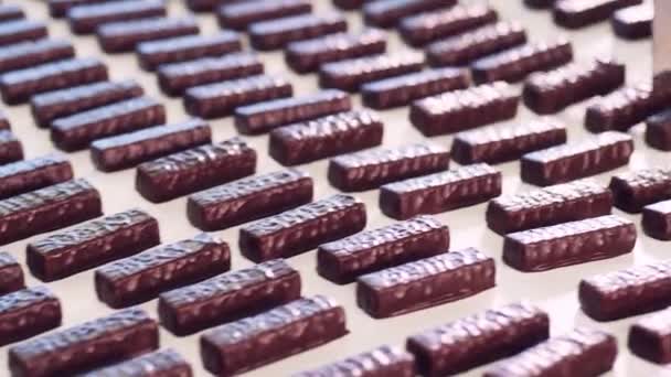 Transporte mecanizado de barras de chocolate — Vídeo de stock