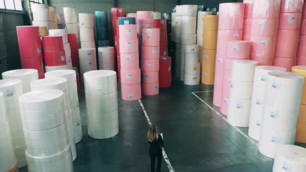 Працівник паперової фабрики оглядає сховище паперових рулонів — стокове відео