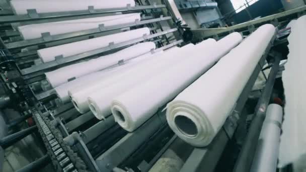 Rollos de papel moviéndose a lo largo de la cinta transportadora en una fábrica de papel — Vídeos de Stock