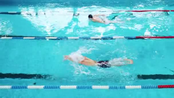Profesyonel atletler kelebek tekniğini kullanarak yüzerler. — Stok video