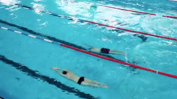Profesyonel atletler su altında yüzme eğitimi alırlar. — Stok video