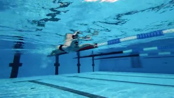 Treino de nadador profissional numa piscina. Vista subaquática — Vídeo de Stock