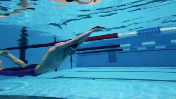 Vista subaquática de um atleta nadando — Vídeo de Stock
