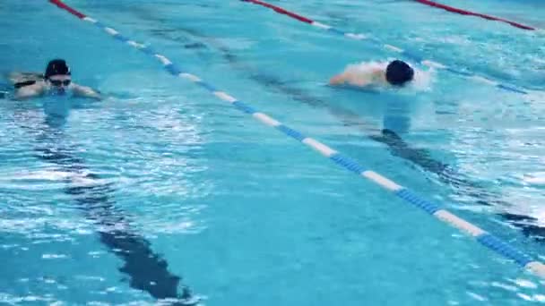 Tres deportistas nadan mariposas — Vídeos de Stock