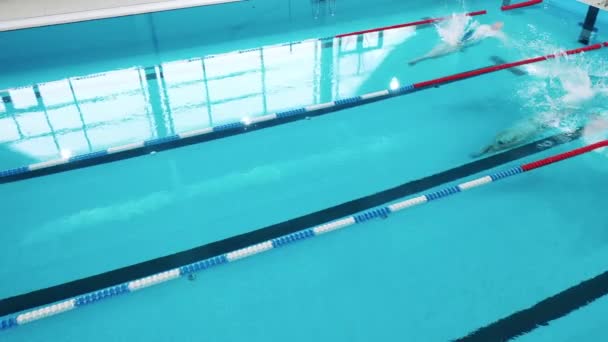 Tre idrottare hoppar i en pool — Stockvideo