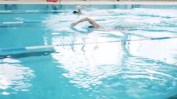 Atletas competem uns com os outros em uma piscina — Vídeo de Stock