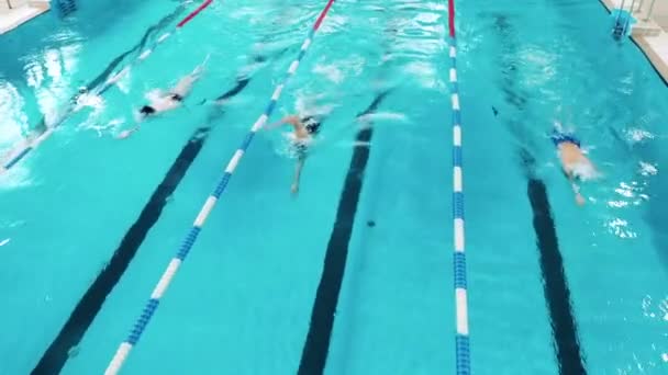 Yüzme havuzunda yüzen formda erkek sporcular — Stok video