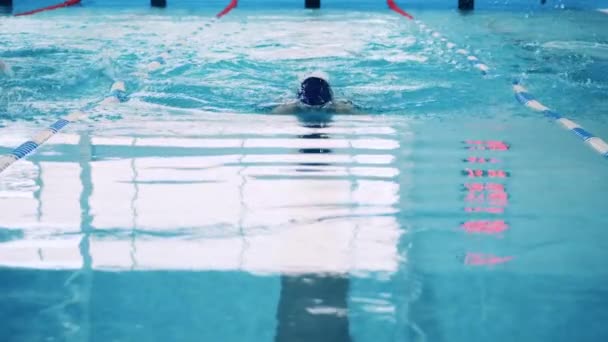 Vista frontal de un hombre nadando mariposa en cámara lenta — Vídeos de Stock