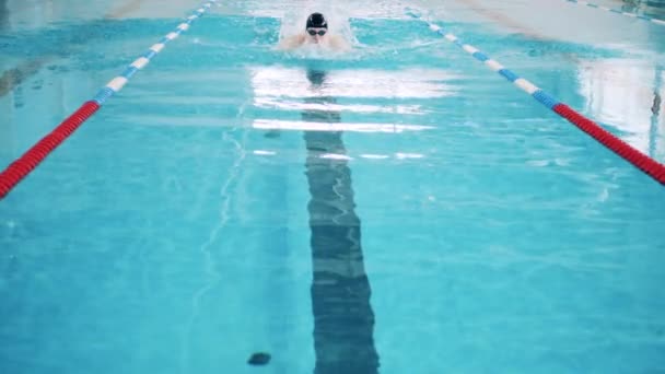 한 남자 가 수영장에서 노를저어 가고 있어요 — 비디오