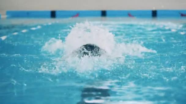 Butterfly swimming of a man filmed in slow motion — Stock Video