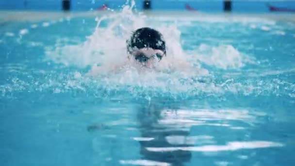 Nuotatore subacqueo maschile mentre attraversa la piscina al rallentatore — Video Stock