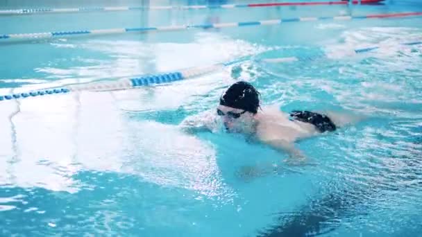 Een man zwemt vlinder langs de zwembaden rijstrook in slow motion — Stockvideo