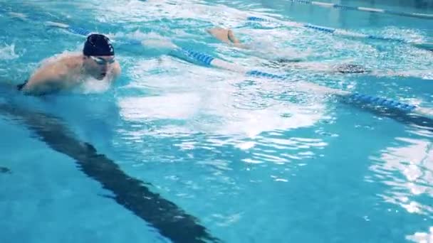 Piscina con due nuotatori a farfalla filmata al rallentatore — Video Stock