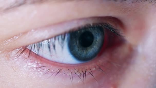 Primer plano de un ojo parpadeante femenino — Vídeo de stock