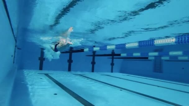 프로 수영 선수들은 서로 경쟁 한다. 수영 선수 의훈 련 과정 수중에서 촬영됨 — 비디오