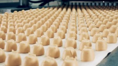 Şekerlemelerin toplu halde endüstriyel taşımacılığı. Fabrika ekipmanları, endüstriyel şeker üretimi.