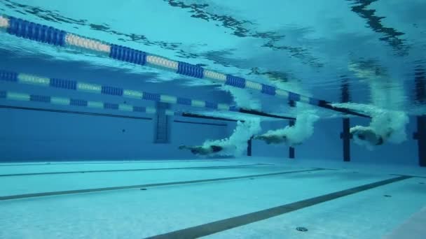 Yüzücüler yüzme havuzuna dalar. Spor etkinliği kavramı, kararlılık, egzersiz, sağlıklı yaşam tarzı.. — Stok video
