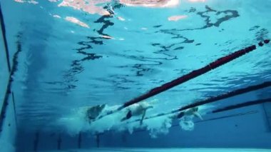 Profesyonel yüzücüler yarışması konsepti. Yüzme yarışması su altında çekildi
