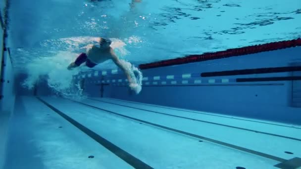 Professionele sporter training in een zwembad. Onderwater schot. Concept van sportieve activiteit, vastberadenheid, training, gezonde levensstijl. — Stockvideo