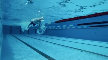 Spor aktivitesi, azim, egzersiz, sağlıklı yaşam tarzı kavramı. Profesyonel erkek sporcu su altında kurbağalama yüzüyor..