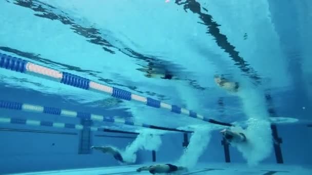 Vízalatti látvány, ahogy három úszó beleugrik egy medencébe. Professzionális úszók versenykoncepciója. — Stock videók