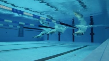 Sporcuların su altında yakalandıkları havuza atladıkları an. Profesyonel yüzücüler yarışma konsepti.