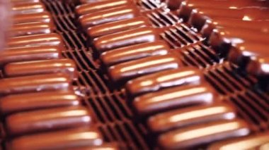 Fabrika ekipmanları, endüstriyel şeker üretimi. Taşıyıcı üzerinde hareket eden şekerlerin otomatik parlatılması