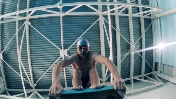 Beautiful shot of a professional athlete diving into a swimming pool. Professional swimmers competition concept. Concept of sports activity, determination, workout, healthy lifestyle. — Stock Video