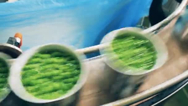 Transport von mit grünen Erbsen gefüllten Blechdosen — Stockvideo