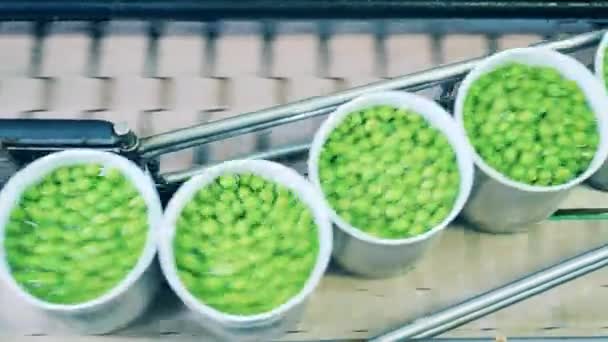 Vista superior de um transportador com ervilhas verdes embaladas em latas de estanho. Processamento de produtos agrícolas, transportador de fábrica de alimentos. — Vídeo de Stock