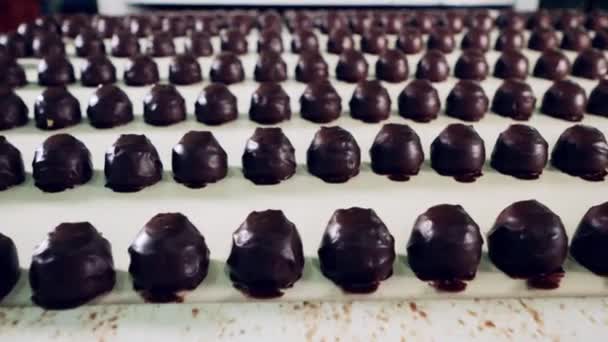 Lot de bonbons au chocolat pendant le transport automatisé — Video