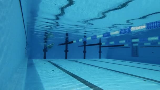 Concept van sportieve activiteit, vastberadenheid, training, gezonde levensstijl. Professionele zwemmer die onder water oefent — Stockvideo