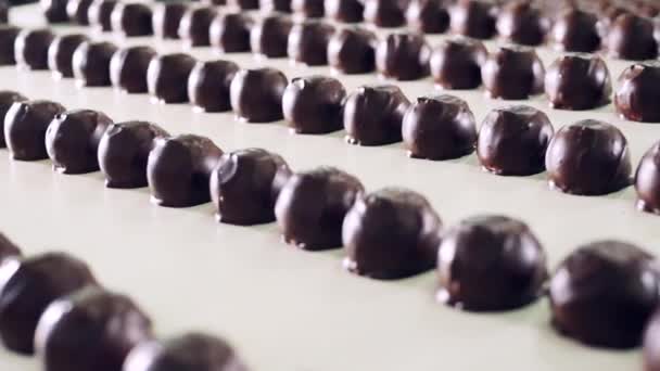 Lignes de bonbons au chocolat pendant le transport automatisé — Video