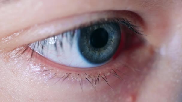 Nahaufnahme von Personen mit blauem Auge beim Blinzeln — Stockvideo