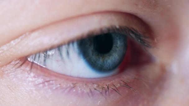 Blinkendes blaues Auge in Nahaufnahme gefilmt — Stockvideo
