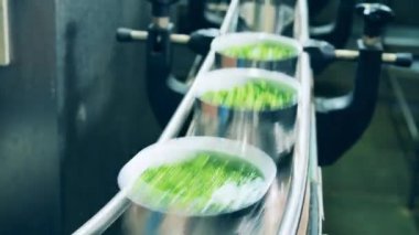 Kemer boyunca ilerleyen yeşil bezelyeli bir dizi mühürsüz kutu.