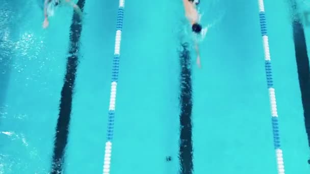 Tres nadadores profesionales entrenando en una piscina. Vista superior — Vídeos de Stock