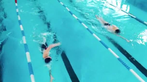 Zwemmers training in een zwembad in een top view — Stockvideo
