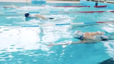 Havuzda yüzen sporcuların yan görüntüsü