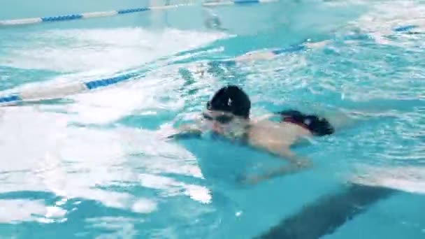 Nadador practicando la técnica de la mariposa en una piscina — Vídeos de Stock