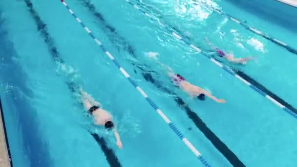 Atletas nadan sobre sus espaldas en una vista superior — Vídeos de Stock