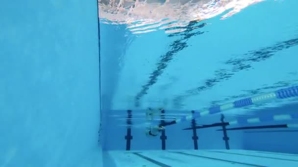 Homem a nadar debaixo de água. Atleta profissional — Vídeo de Stock