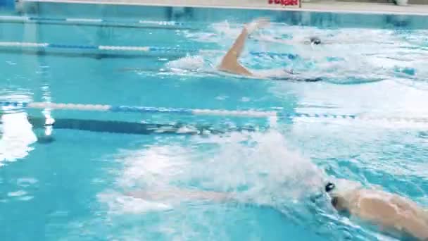 Primo piano di una gara di nuoto — Video Stock