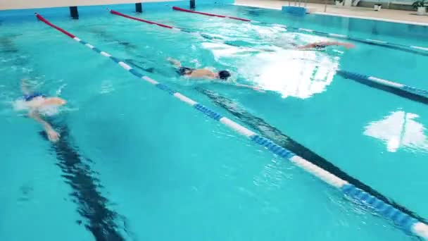 Tre professionella idrottare simmar i en pool — Stockvideo