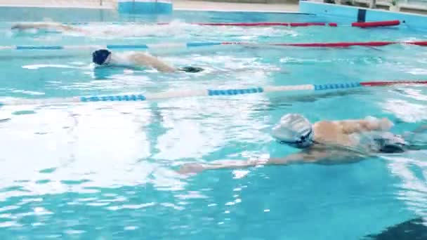 Havuzda yüzen sporcuların yan görüntüsü — Stok video